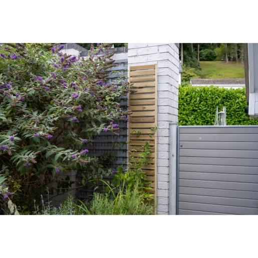 Slatted Trellis 180 x 30cm PK4 Hd